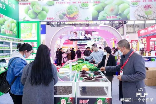 2025年上海国际自有品牌产品展(PLF) 日用百货新风尚与新机遇